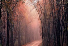 王者荣耀刘备谐星爆笑图集，笑到技能全歪！