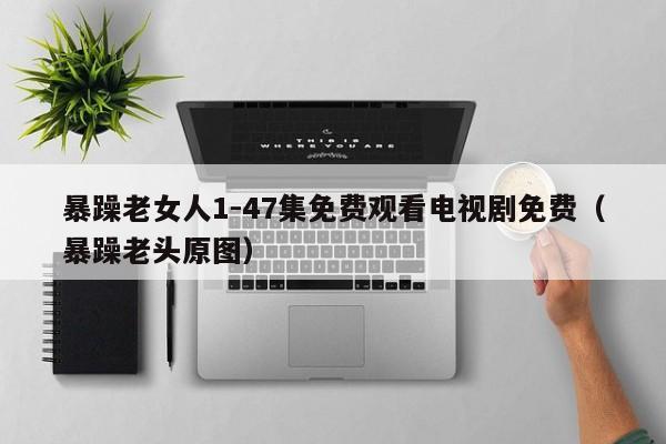 暴躁老女人1-47集免费观看电视剧免费(暴躁老头原图)