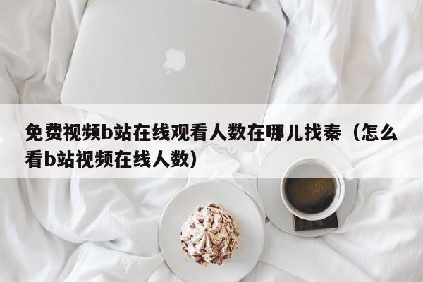 免费视频b站在线观看人数在哪儿找秦(怎么看b站视频在线人数)