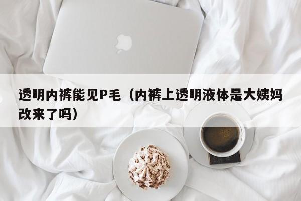 透明内裤能见P毛(内裤上透明液体是大姨妈改来了吗)