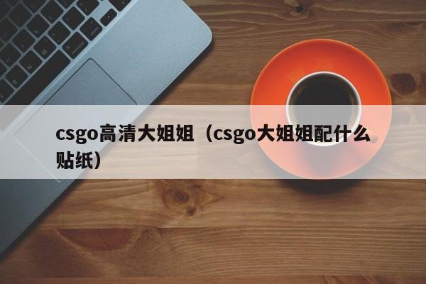 csgo高清大姐姐(csgo大姐姐配什么贴纸)