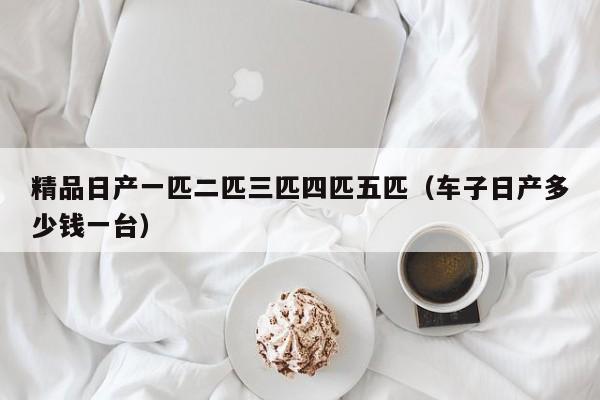 精品日产一匹二匹三匹四匹五匹(车子日产多少钱一台)