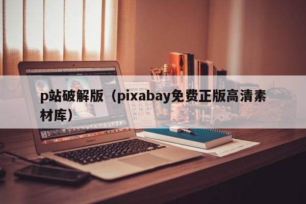 p站破解版(pixabay免费正版高清素材库)