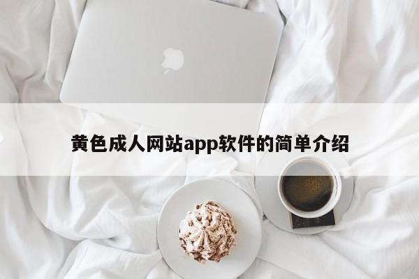 黄色成人网站app软件的简单介绍