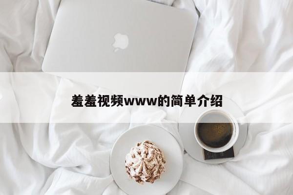 羞羞视频www的简单介绍