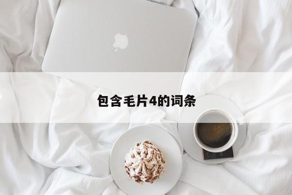 包含毛片4的词条
