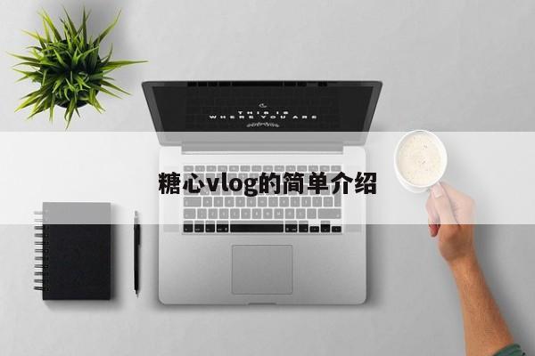 糖心vlog的简单介绍