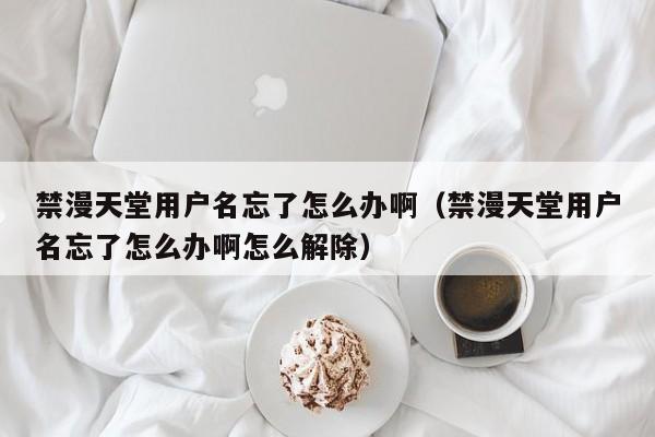 禁漫天堂用户名忘了怎么办啊（禁漫天堂用户名忘了怎么办啊怎么解除）