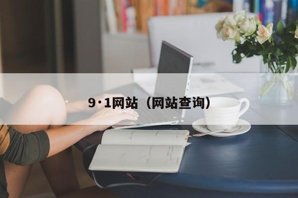 9·1网站（网站查询）