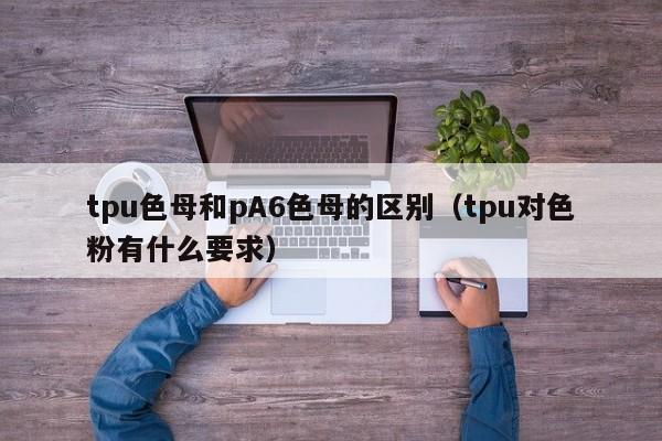 tpu色母和pA6色母的区别（tpu对色粉有什么要求）