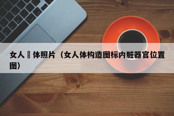 女人祼体照片（女人体构造图标内脏器官位置图）