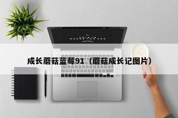 成长蘑菇蓝莓91（蘑菇成长记图片）