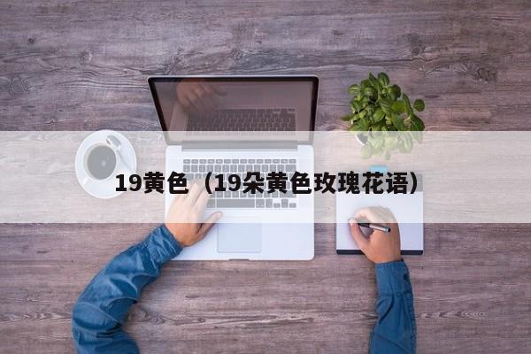 19黄色（19朵黄色玫瑰花语）