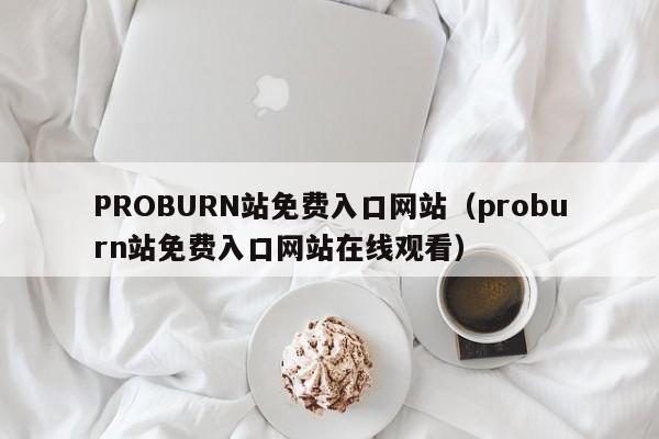 PROBURN站免费入口网站（proburn站免费入口网站在线观看）