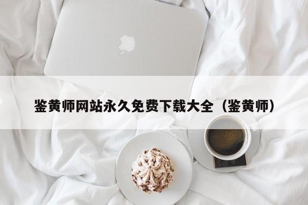 鉴黄师网站永久免费下载大全（鉴黄师）
