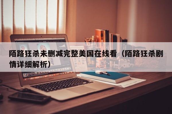 陌路狂杀未删减完整美国在线看（陌路狂杀剧情详细解析）
