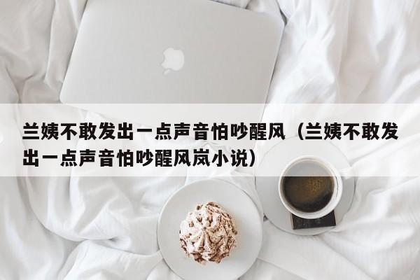 兰姨不敢发出一点声音怕吵醒风（兰姨不敢发出一点声音怕吵醒风岚小说）