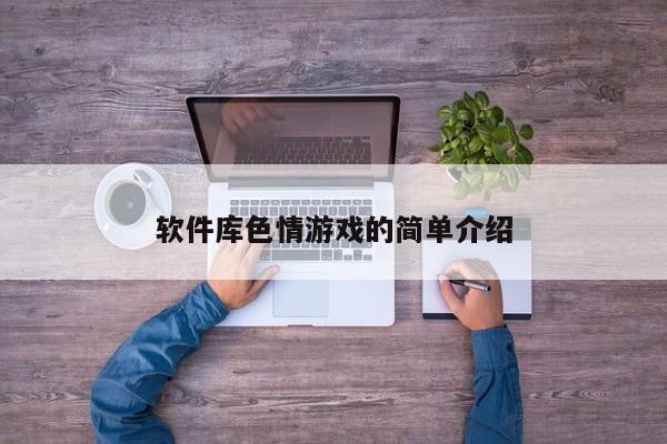 软件库色情游戏的简单介绍