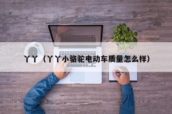 丫丫(丫丫小骆驼电动车质量怎么样)
