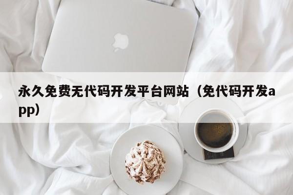 永久免费无代码开发平台网站(免代码开发app)
