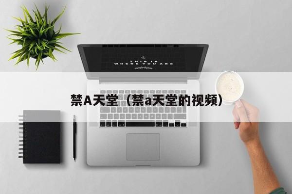 禁A天堂(禁a天堂的视频)