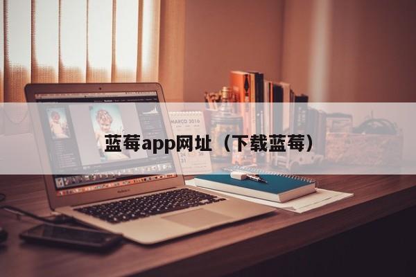 蓝莓app网址(下载蓝莓)