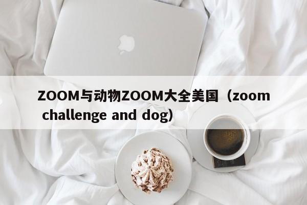 ZOOM与动物ZOOM大全美国（zoom challenge and dog）