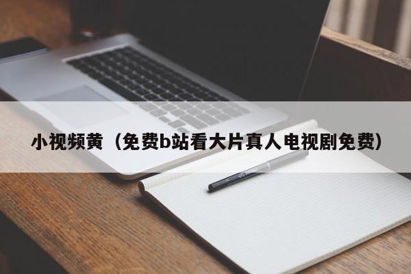 小视频黄（免费b站看大片真人电视剧免费）