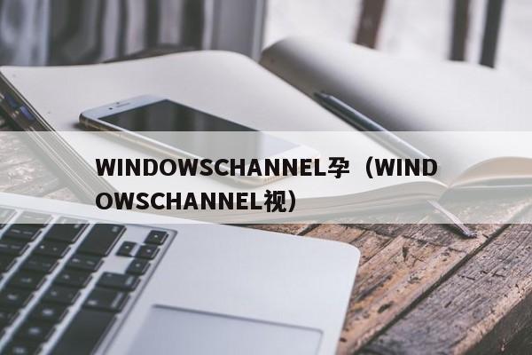 WINDOWSCHANNEL孕(WINDOWSCHANNEL视)