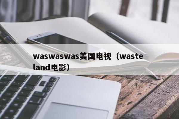 waswaswas美国电视（waste land电影）