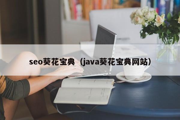 seo葵花宝典(java葵花宝典网站)