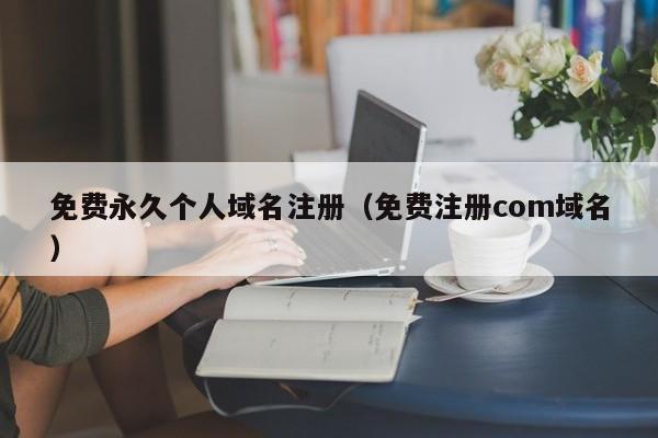 免费永久个人域名注册(免费注册com域名)