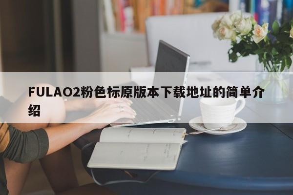 FULAO2粉色标原版本下载地址的简单介绍