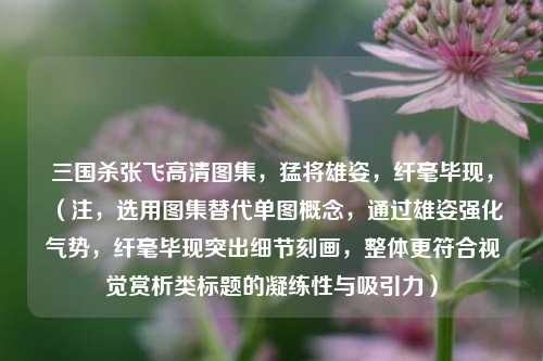 三国杀张飞高清图集，猛将雄姿，纤毫毕现，（注，选用图集替代单图概念，通过雄姿强化气势，纤毫毕现突出细节刻画，整体更符合视觉赏析类标题的凝练性与吸引力）