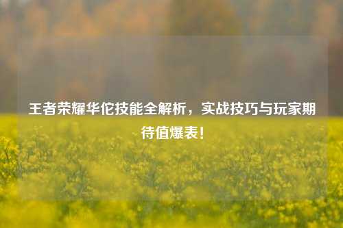 王者荣耀华佗技能全解析,实战技巧与玩家期待值爆表!
