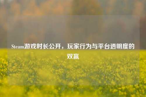 Steam游戏时长公开,玩家行为与平台透明度的双赢