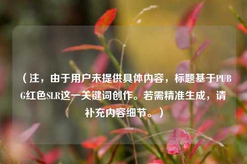 (注,由于用户未提供具体内容,标题基于PUBG红色SLR这一关键词创作。若需精准生成,请补充内容细节。)