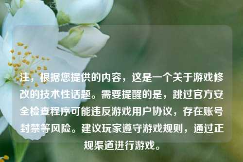 注，根据您提供的内容，这是一个关于游戏修改的技术性话题。需要提醒的是，跳过官方安全检查程序可能违反游戏用户协议，存在账号封禁等风险。建议玩家遵守游戏规则，通过正规渠道进行游戏。