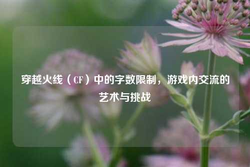 穿越火线(CF)中的字数限制,游戏内交流的艺术与挑战