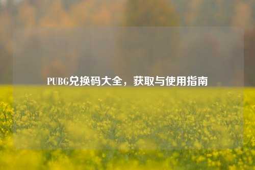 PUBG兑换码大全，获取与使用指南