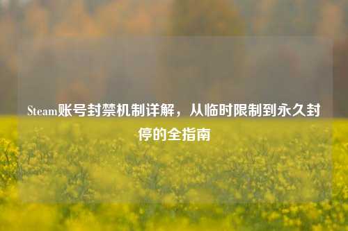 Steam账号封禁机制详解，从临时限制到永久封停的全指南