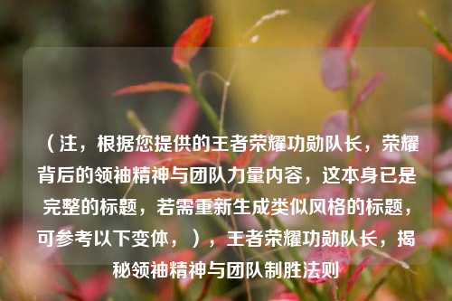 （注，根据您提供的王者荣耀功勋队长，荣耀背后的领袖精神与团队力量内容，这本身已是完整的标题，若需重新生成类似风格的标题，可参考以下变体，），王者荣耀功勋队长，揭秘领袖精神与团队制胜法则