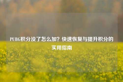 PUBG积分没了怎么加？快速恢复与提升积分的实用指南