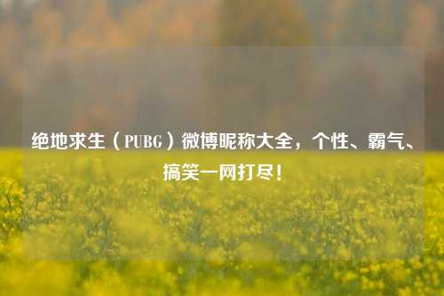 绝地求生（PUBG）微博昵称大全，个性、霸气、搞笑一网打尽！