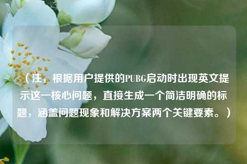 （注，根据用户提供的PUBG启动时出现英文提示这一核心问题，直接生成一个简洁明确的标题，涵盖问题现象和解决方案两个关键要素。）