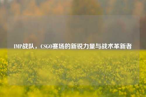 IMP战队，CSGO赛场的新锐力量与战术革新者