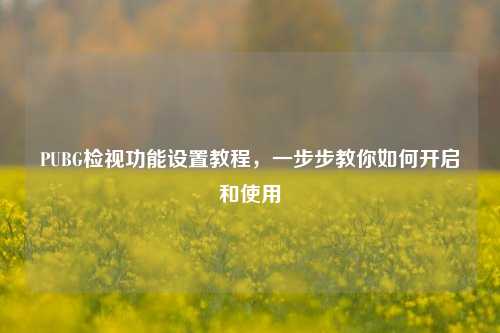 PUBG检视功能设置教程，一步步教你如何开启和使用
