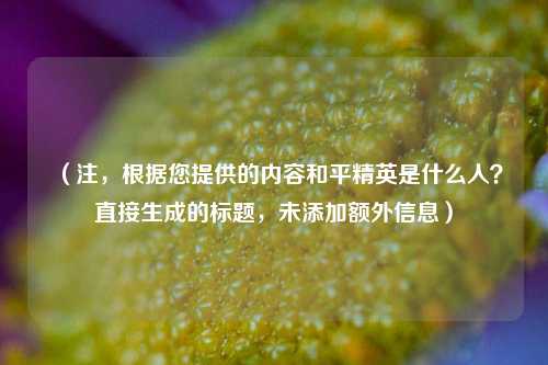 （注，根据您提供的内容和平精英是什么人？直接生成的标题，未添加额外信息）