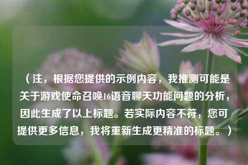 （注，根据您提供的示例内容，我推测可能是关于游戏使命召唤16语音聊天功能问题的分析，因此生成了以上标题。若实际内容不符，您可提供更多信息，我将重新生成更精准的标题。）