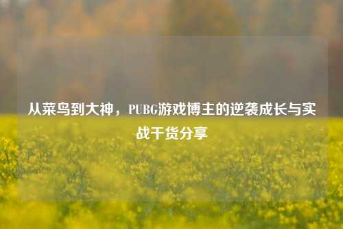 从菜鸟到大神，PUBG游戏博主的逆袭成长与实战干货分享